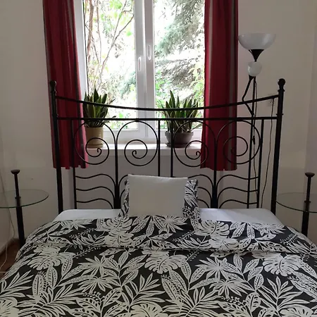 アニムルムル *