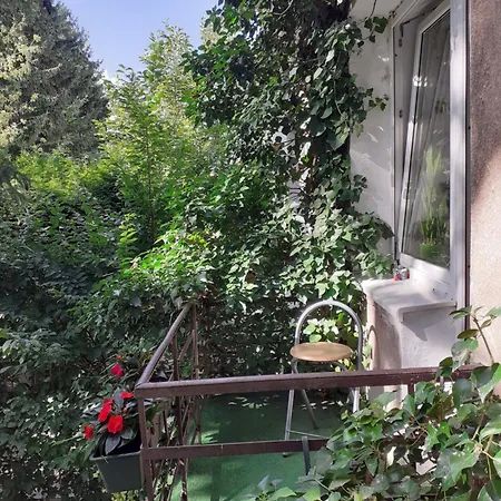 ホームステイ アニムルムル ワルシャワ