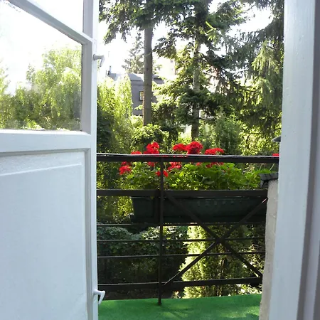 Animrumru Warsaw
