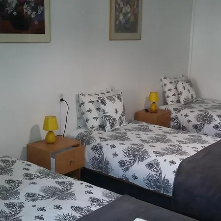 アニムルムル *